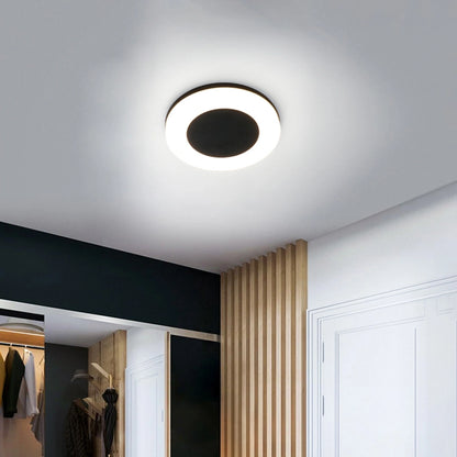 20W Modern Exterior Hallway Bathroom Ceiling Lights SY-O1005