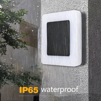 IP65 Waterproof outdoor ceiling lamp led bathroom ceiling SY-O1006